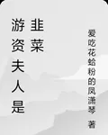 遊資夫人是韭菜 封面