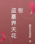 盜墓界天花板 封面