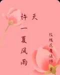 許一夏風雨天 封面
