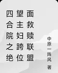 四合院之絕望主婦跨位面救贖聯盟 封面