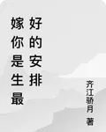 嫁你，是重生最好的安排 封面