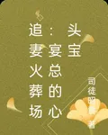 追妻火葬場：宴總的心頭寶 封面