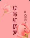 續寫紅樓夢 封面