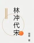 林沖代宋 封面