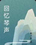 回憶琴聲 封面