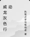威龍灰色行動 封面