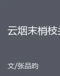 雲煙末梢枝頭 封面