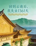 回到雲南後，我失業1361天 封面