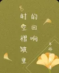 時空褶皺裏的迴響 封面