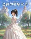 總裁的替嫁寶貝 封面