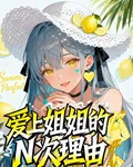 愛上姐姐的N次理由 封面