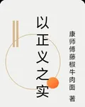 以正義之實 封面