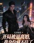開局被逼離婚，我身份藏不住了 封面