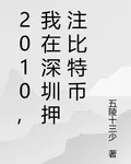 2010，我在深圳押注比特幣 封面