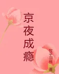 京夜成癮 封面