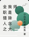 全職獵人之我是除念大師 封面