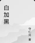 白加黑 封面