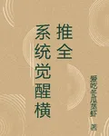 系統覺醒橫推全 封面