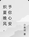 熾夏晚風，予你心安 封面