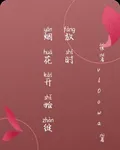 煙花開始綻放時 封面