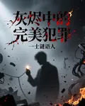 灰燼中的完美犯罪 封面