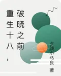 重生十八，破曉之前 封面