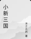 小新三國 封面