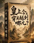 皇上，今天穿越去哪兒？ 封面