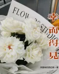 幸而得見 封面