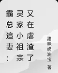 霸總追妻：靈家小祖宗又在虐渣了 封面