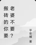 搬磚的你要老婆不要？ 封面