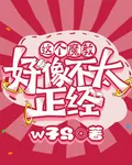 這個魔教好像不太正經 封面