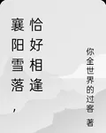 襄陽雪落，恰好相逢 封面