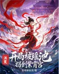 洪荒：開局被瑤池拐到紫霄宮 封面