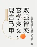 現言馬甲：玄學爽文：雙強智戀 封面