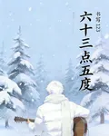 六十三點五度 封面
