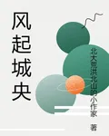 風起城央 封面