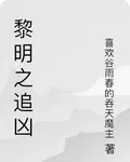 黎明之追兇 封面