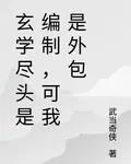 玄學盡頭是編制，可我是外包 封面
