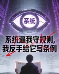 系統逼我守規則我反手給它寫條例 封面