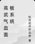 高武氣血面板系統 封面