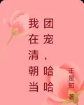 我在清朝當團寵，哈哈 封面