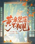 黃泉碧落不相見 封面