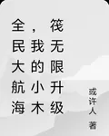 全民大航海，我的小木筏無限升級 封面