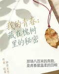 我的青春：藏在老槐樹裏的祕密 封面