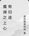 魔淵之上心有歸途 封面