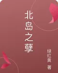 北島之孽 封面