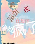 泥石流小姐在短國殺瘋啦！！！ 封面