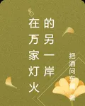 在萬家燈火的另一岸 封面