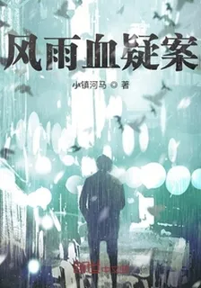 風雨疑案 封面